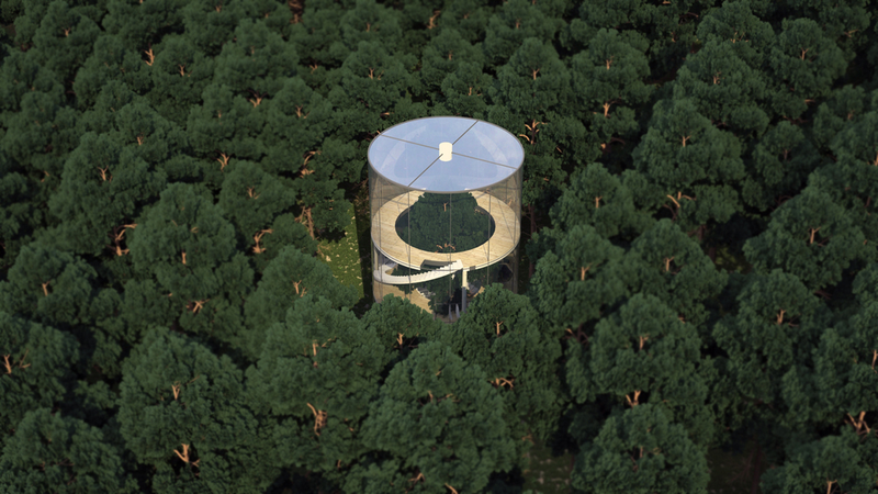 Illustration for article titled A tree grows inside this cylindrical transparent house